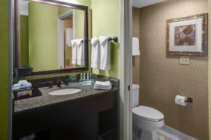 亚特兰大亚特兰大巴克黑德智选假日套房酒店的一间带水槽、卫生间和镜子的浴室