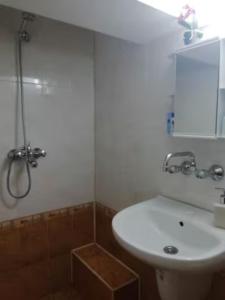 斯利文Green Loft Apartment-Rose的浴室配有白色水槽和淋浴。