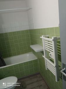 贝斯和圣阿纳斯泰斯Chez Loïc et Mélanie的绿色浴室设有浴缸和卫生间
