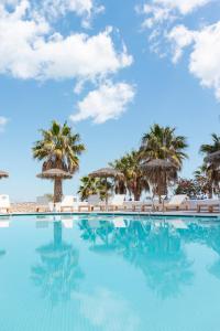 卡马利生活之家套房酒店的一座棕榈树和椅子的游泳池