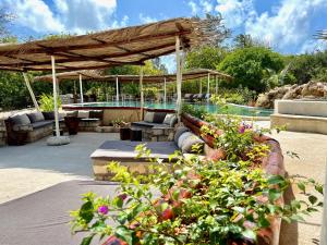 瓦塔穆Rock and Sea Resort的一个带游泳池的庭院和一个种植了植物的凉亭