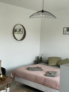圣路易Studio T à 5mn euro airport avec terrasse的一间卧室配有一张带镜子和桌子的床