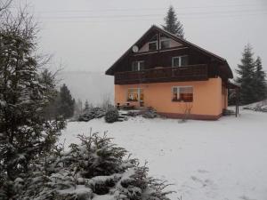 Mlynky Chata u Tata的雪覆盖的院子内的房子