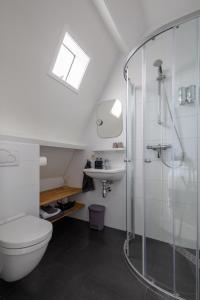 登博斯Achter de Kan的带淋浴、卫生间和盥洗盆的浴室