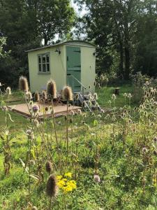 黑尔斯沃思The Warren - Cosy Shepherds Hut in beautiful wild meadow的花丛中间的小棚子