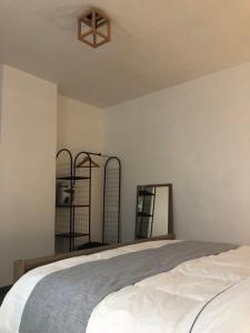 沙勒罗瓦L'Escapade Urbaine - Montignies-sur-Sambre的卧室配有一张床,墙上有两面镜子