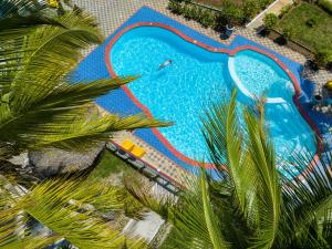 乌罗阿F-Zeen Boutique Hotel Zanzibar的享有棕榈树游泳池的顶部景致
