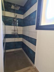 Lapeyrouse-FossatPAUSE NATURE Maison Cosmos avec parking gratuit的一间设有蓝色和白色条纹淋浴的浴室