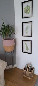 BirchLauriston Stay的一间客厅,里面装有盆栽植物和框架图片