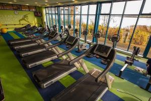 韦克斯福德斐里卡里格酒店的健身房里放着一堆跑步机
