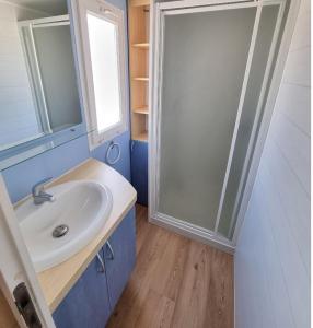 LorrisDOMAINE DE LA GRANGE DES CHAMPS的一间带水槽和玻璃淋浴的浴室