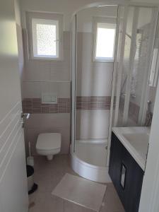蒂豪尼Dorka Villa的带淋浴、卫生间和盥洗盆的浴室