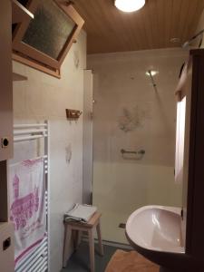 福龙河畔拉罗什Appartement La Roche sur Foron的一间带水槽和淋浴的浴室