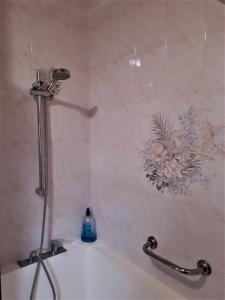 福龙河畔拉罗什Appartement La Roche sur Foron的带淋浴的浴室