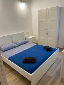 莫内利亚Cà di Giaco lodge的一间卧室配有一张带蓝色床单的大床