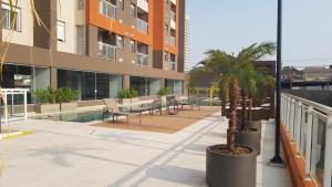 里贝朗普雷托Apartamento Wi-fi, Split, Estacionamento e Piscina的一座庭院,在一座建筑里种有棕榈树