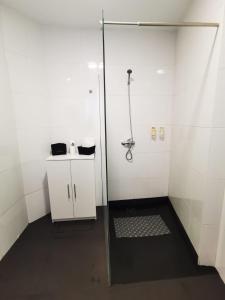 吉马良斯Alojamento Local F&B的浴室里设有玻璃门淋浴