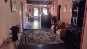 瓦索拉斯帕尔梅拉斯河谷酒店的带沙发和地毯的客厅