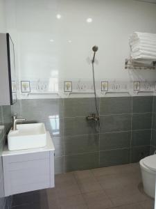 昆岛Hoàng Anh Côn Đảo Hotel的带淋浴、盥洗盆和卫生间的浴室