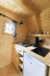 Les MolièresLa cabane de Merlin的小屋内的厨房设有水槽和炉灶