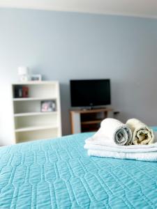 索科矿泉村Broj jedan Delux的带毛巾的床和电视的客房