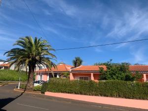 普拉泽里什Casa De Cha Prazeres的房屋前的棕榈树