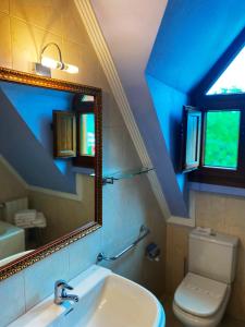 乌迪亚莱斯堡La Llosa de Sámano的一间带水槽、镜子和卫生间的浴室