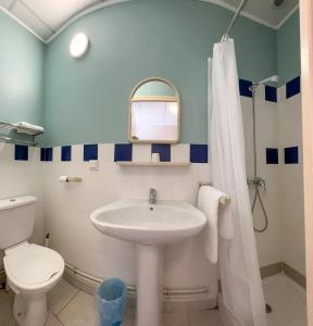 博蒙昂韦龙Le Petit Logis的一间带水槽、卫生间和镜子的浴室