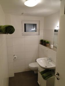 欣特察尔滕Ferienwohnung Hofmeier的一间带卫生间和水槽的浴室以及一台电视。
