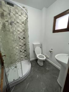 旧瓦马Pensiunea Mac的带淋浴、卫生间和盥洗盆的浴室
