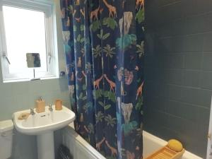 班戈北爱尔兰Beechwood的一间带水槽和淋浴帘的浴室