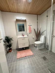 埃斯波studio Finnoo Espoo next to metro, easy to reach Helsinki and Otaniemi, Aalto的浴室配有卫生间、盥洗盆和淋浴。