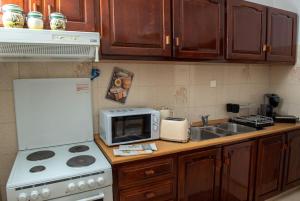 锡蒂亚Palaikastro Holiday Apartment的厨房配有炉灶、微波炉和水槽。