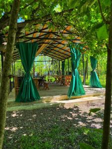 KumistaviCottage Villa Ioseliani的公园的树冠下绿窗帘