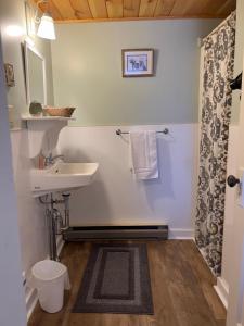 CornishThe Cornish Inn的白色的浴室设有水槽和淋浴。