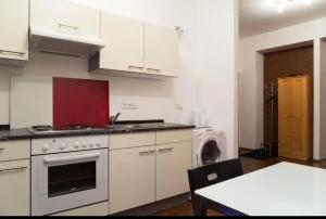 布拉迪斯拉发Kukucinova Apartments的厨房配有炉灶和洗衣机。