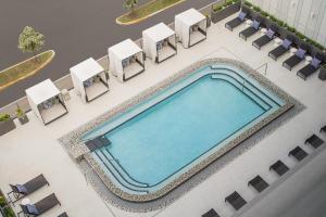 迈阿密AC Hotel by Marriott Miami Dadeland的享有带躺椅的游泳池和游泳池的顶部景致