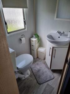Kinmel BayWhitehouse Leisure Park North wales 6 birth caravan的一间带卫生间和水槽的小浴室