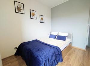 威利兹卡Garden Apartment的一间卧室配有一张带蓝色毯子的床