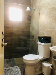 圣斐利-银港J&W apartment的浴室配有卫生间、淋浴和盥洗盆。