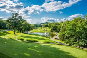 布兰森Luxury Family Condo w/ Great Views & Entertainment的享有高尔夫球场、河流和树木的景色