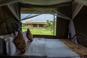 塞伦盖蒂塞伦盖蒂野外露营地的一间卧室设有一张大床和大窗户
