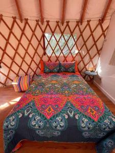 彭延Heated & AC Yurt的蒙古包内一间卧室,配有一张床