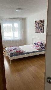 尤卡尔内Jūrkalnes dzīvoklis的一间卧室设有一张床和一个窗口
