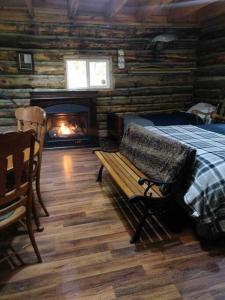 彭延Rustic Ridge的小木屋卧室配有1张床和壁炉