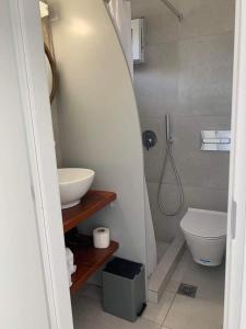 维查德Thronos的浴室配有卫生间、盥洗盆和淋浴。