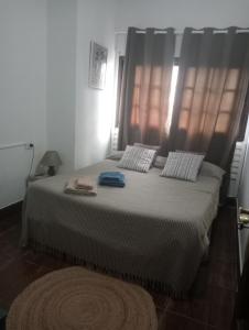 巴尔韦尔德Mi Piriposa的一间卧室配有一张大床和两个枕头