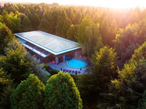 Disney Sequoia Lodge鸟瞰图