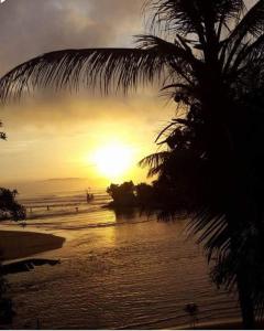 BusuaScorpion Hill Lodge的棕榈树海滩上的日落