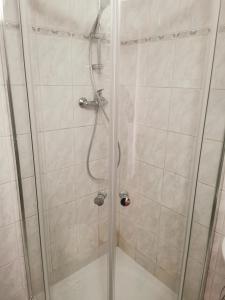 伏尔塔瓦河畔利普诺Apartmán Romance的浴室里设有玻璃门淋浴